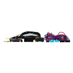 Phoenix Gold ZDC-BMW2 (ASD) 6CH